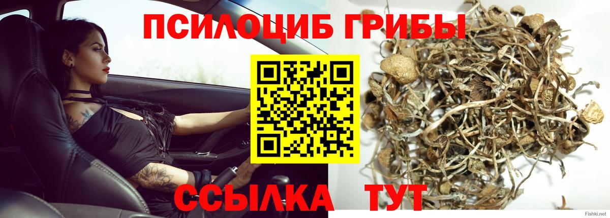Галлюциногенные грибы мухоморы Калач-на-Дону