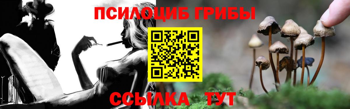 Калач-на-Дону  Галлюциногенные грибы Psilocybine cubensis  Вход с VPN 